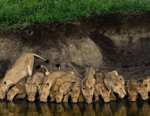 Arusha National Park