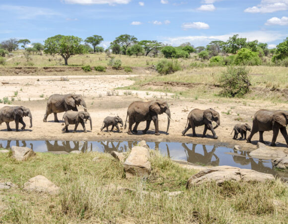 Tarangire National Park