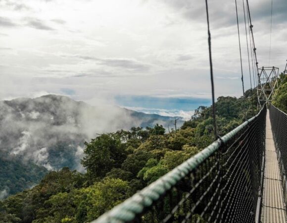 Nyungwe national Park