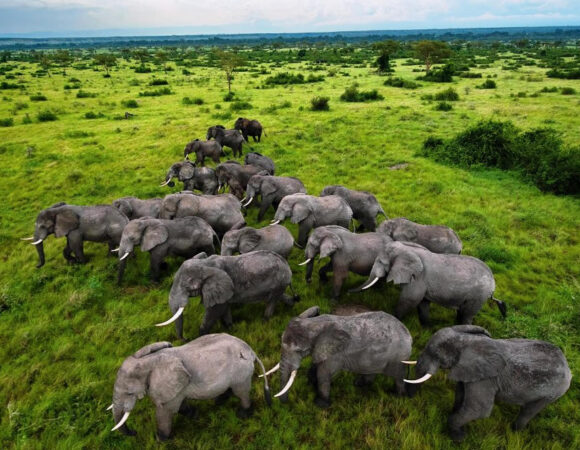 Queen Elizabeth National Park