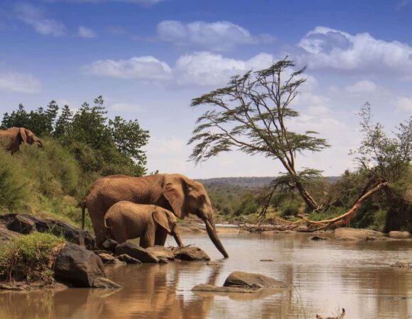 Samburu National Reserve