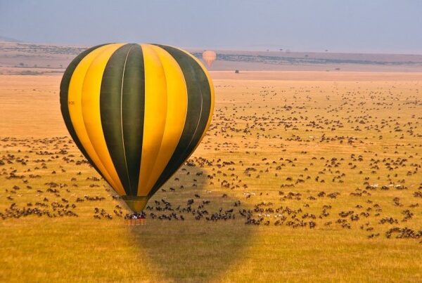 Masai Mara Balloon Safaris