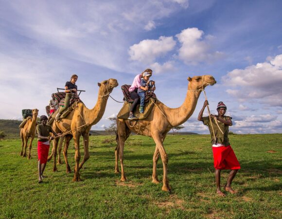 10 Days Kenya Bird Watching Safaris