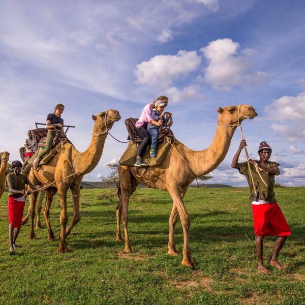 10 Days Kenya Bird Watching Safaris