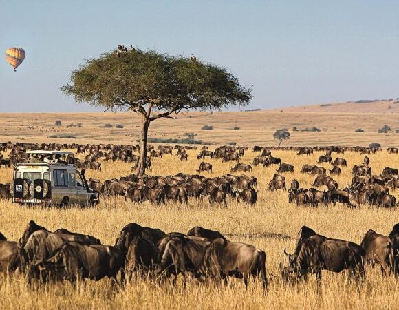 4 Days Masai Mara Lodge Safari