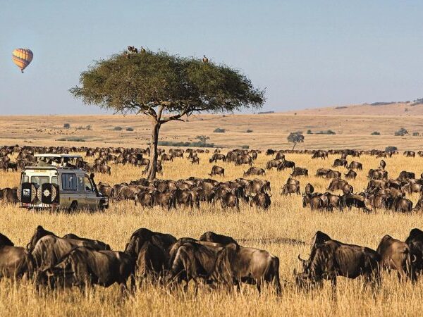 4 Days Masai Mara Lodge Safari