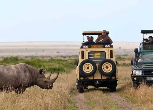 4 Days Masai Mara & Nakuru 4×4 Private Camping Safari